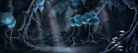 seona-spider-forest